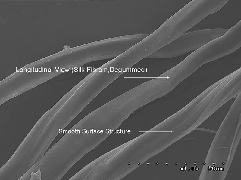 Contact, Asperity, and Quantum Adhesion: Rethinking What Friction Actually Is