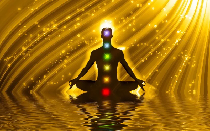 Vibration Without a Source: Sensory Physics, Neural Prediction, and the Science of Phantom Phone Alerts